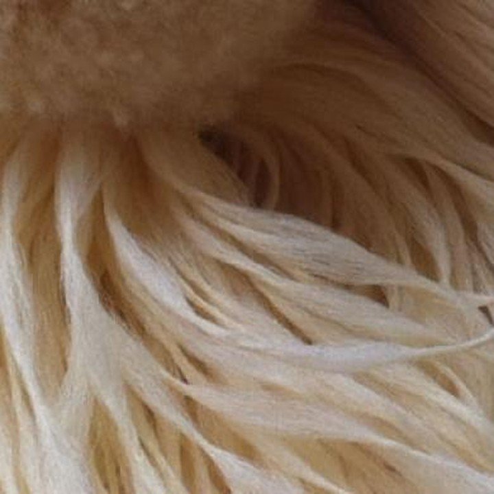 PP BCF yarn — soft bulked filament texture